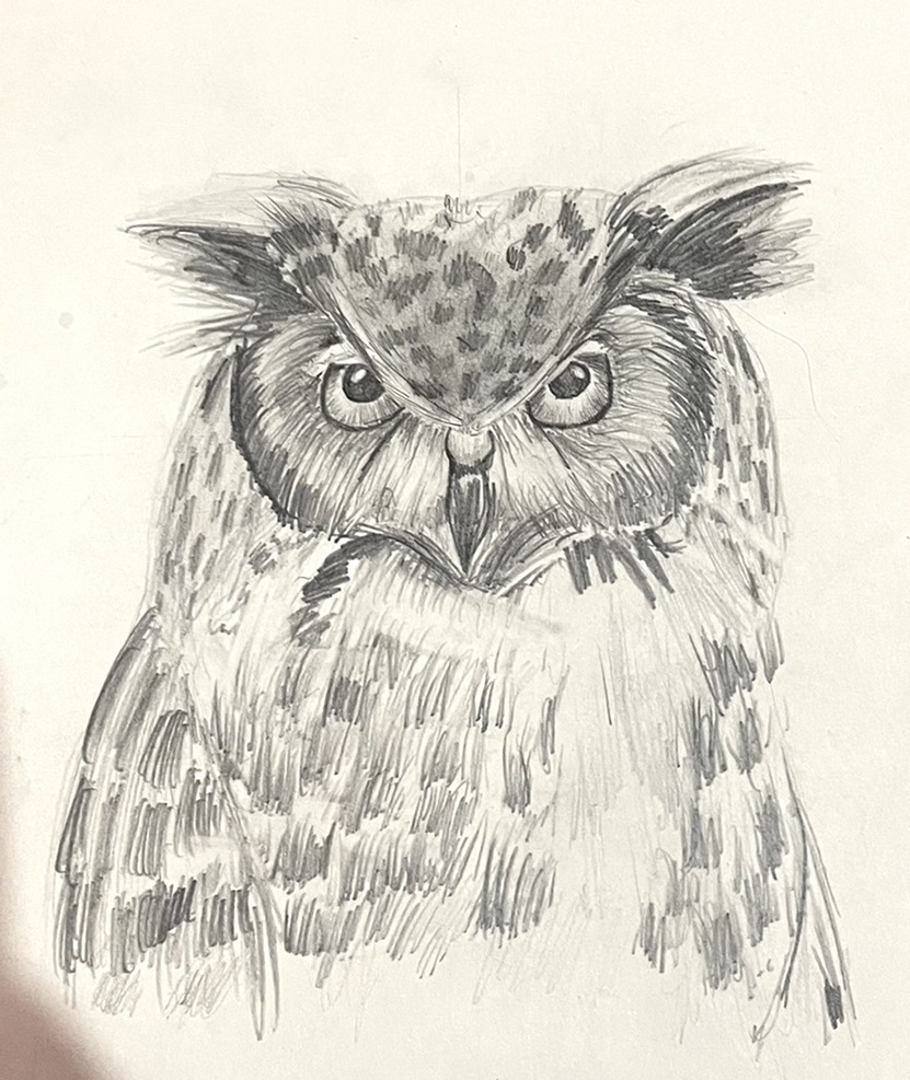 /uploaded_files/media/gallery/1633770090Cathy 4P Owl.jpeg